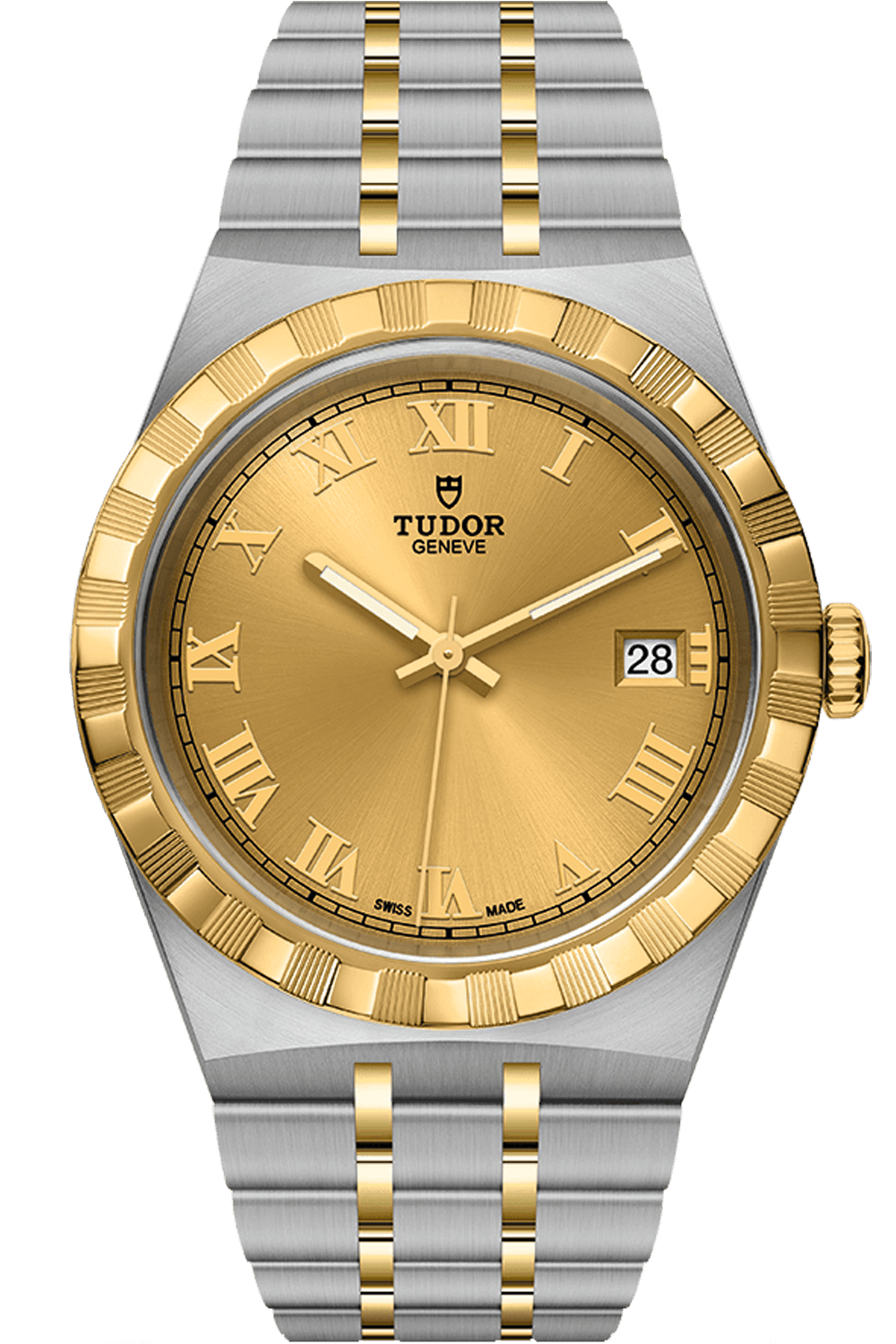 Tudor Royal Ref - M28503-0003