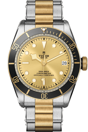 Tudor Black Bay S&G Ref - M79733N-0004